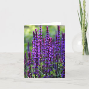 Tarjeta de flores de lavanda