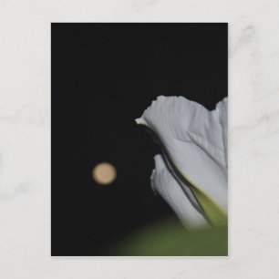 Tarjeta de flores de luna
