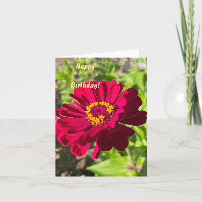 Tarjeta de flores de personalizable Zinnia (Anverso)