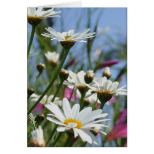 Tarjeta de flores de primavera