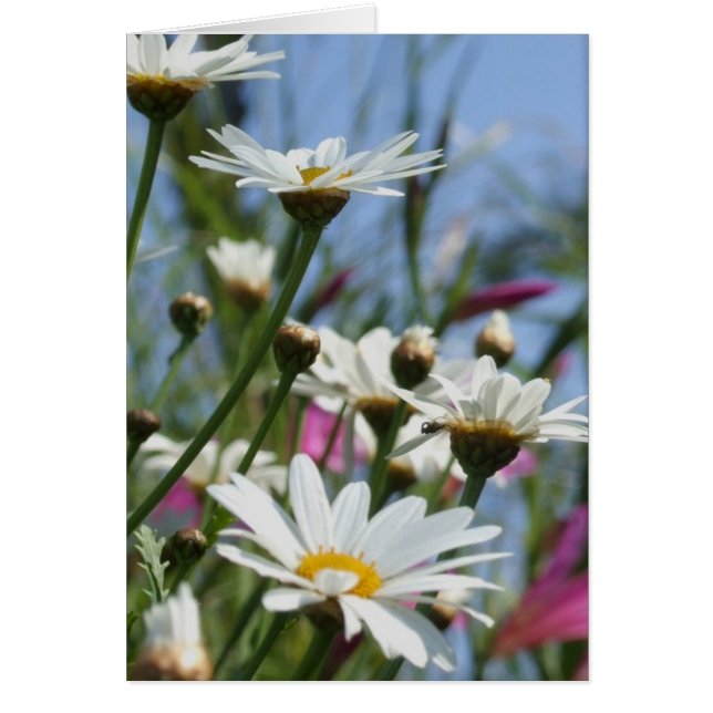 Tarjeta de flores de primavera (Frente)