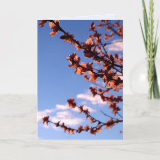Tarjeta de Flores de Primavera de Nuevos Comienzos
