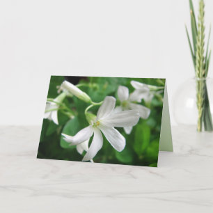 Tarjeta de flores de Shamrock de St. Patrick's Day