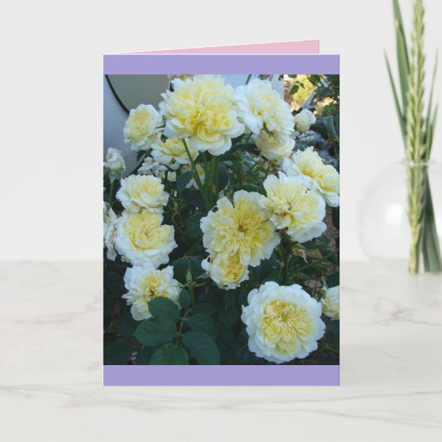 Tarjeta de flores del jardín de rosas amarillas Da (Anverso)