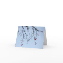 Tarjeta de Flores Fierce