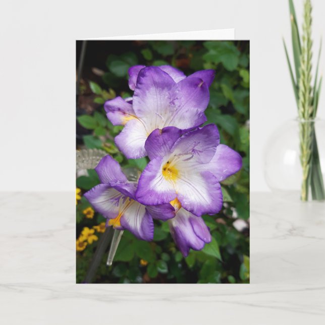 Tarjeta de flores moradas de Freesia (Anverso)