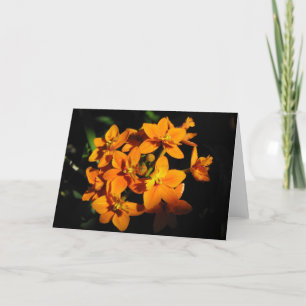 Tarjeta de flores naranjas