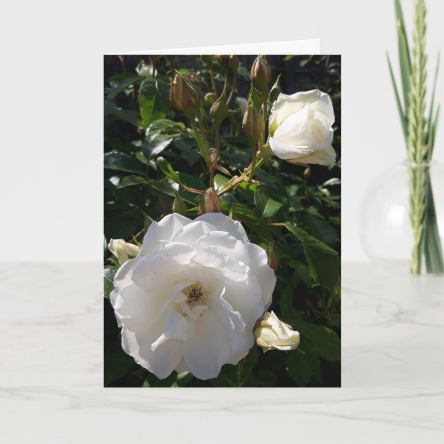 tarjeta de flores para rosas (Anverso)