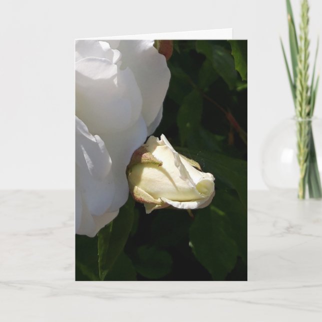 tarjeta de flores para rosas (Anverso)