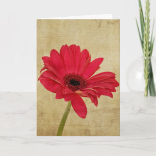 Tarjeta de flores Red Gerbera