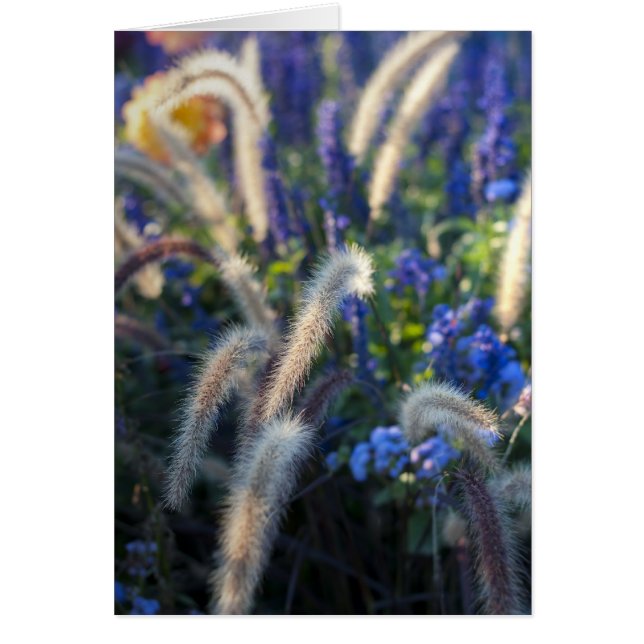 Tarjeta de flores silvestres (Frente)