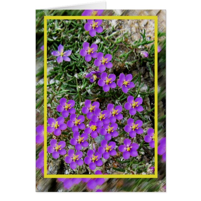 Tarjeta de flores silvestres (Frente)