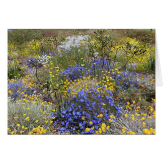 Tarjeta de flores silvestres de primavera
