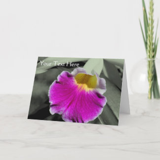 Tarjeta de foto a color parcial de flor orquídea