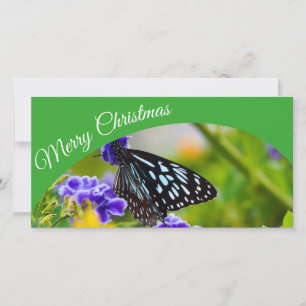 Tarjeta de foto australiana de Feliz Navidad