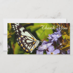 Tarjeta de foto de Gracias - mariposa en flor