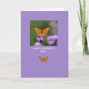 Tarjeta de Foto de Insecto de Lavanda