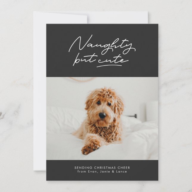 Tarjeta de foto de mascota de Navidades traviesos  (Anverso)