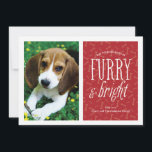 Tarjeta de foto de mascota Peludo y Brillante<br><div class="desc">Muestre la foto de su mascota en esta tarjeta de foto moderna que presenta la frase "peludo y brillante".</div>