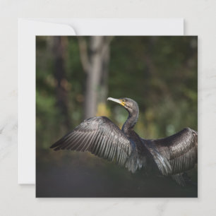Tarjeta de foto de naturaleza de ave cormorán