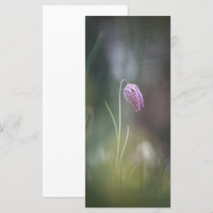 Tarjeta de foto de naturaleza de las flores de aje