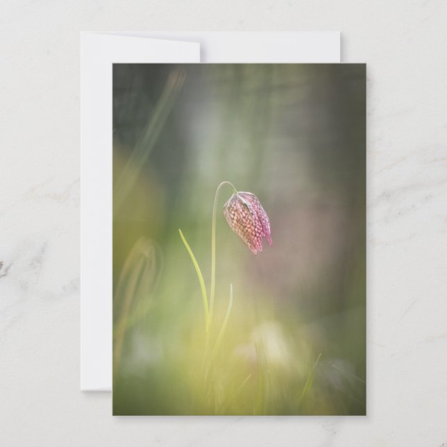 Tarjeta de foto de naturaleza de las flores de aje (Anverso)