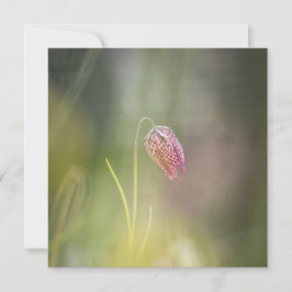 Tarjeta de foto de naturaleza de las flores de aje