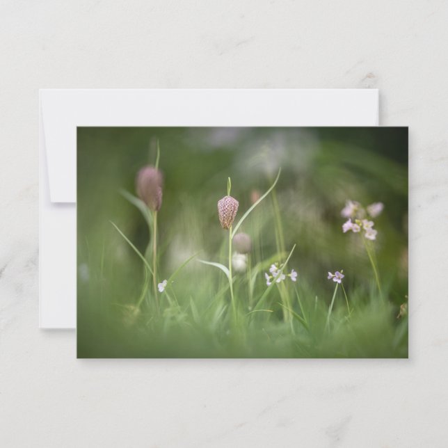 Tarjeta de foto de naturaleza de las flores de aje (Anverso)