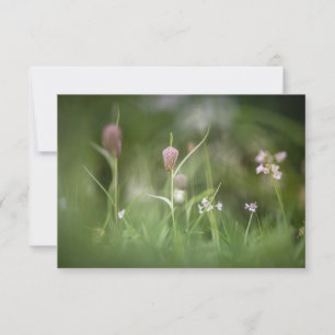 Tarjeta de foto de naturaleza de las flores de aje