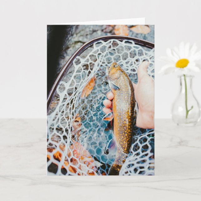 Tarjeta de Foto de Pesca de Trucha Arcoíris (Planta pequeña)