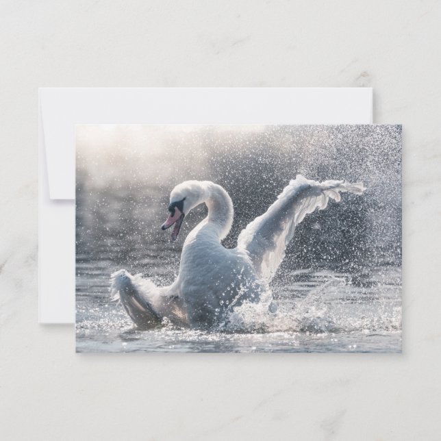 Tarjeta de foto de Swan Nature (Anverso)