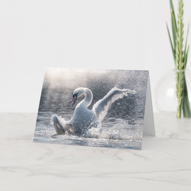 Tarjeta de foto de Swan Nature (Anverso)