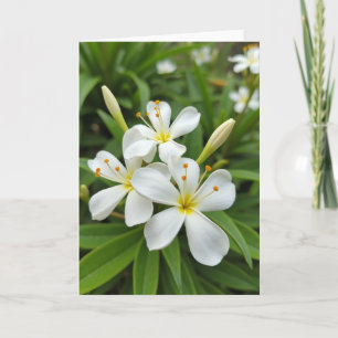 Tarjeta de foto floral blanca mate