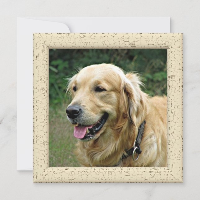 Tarjeta de Foto Personalizada de Tu Perro (Anverso)