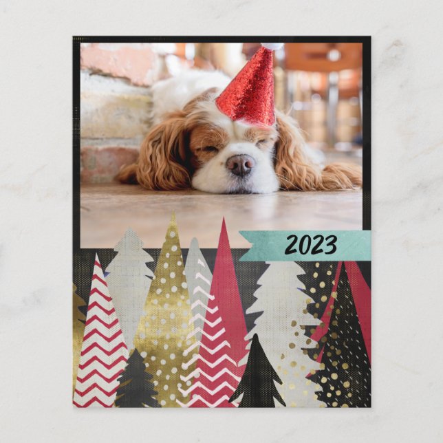 Tarjeta de foto roja negra del presupuesto (Anverso)