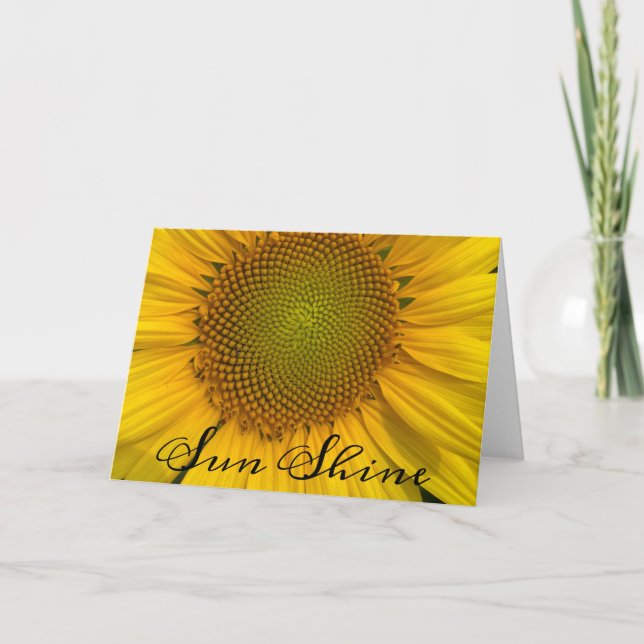 TARJETA DE FOTOGRAFÍA DE Girasoles y Sol PARA FELI (Anverso)