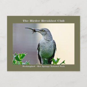 Tarjeta de Fotografía de la Naturaleza de Pájaro B