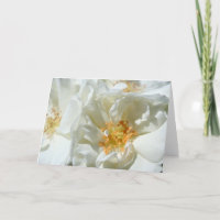 Tarjeta de fotografía floral de rosas silvestres b