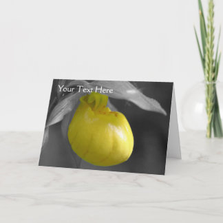 Tarjeta de fotos a color parcial de flor de Lady S