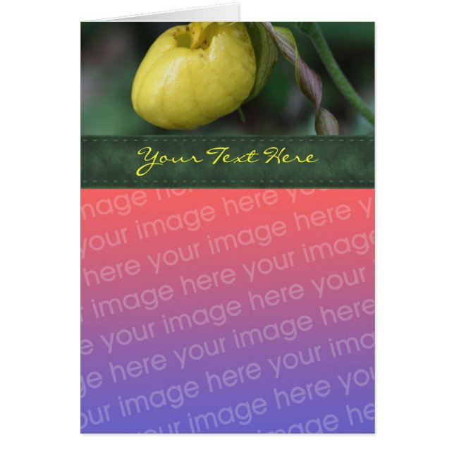 Tarjeta de fotos de la flor de la piel de la dama  (Frente)