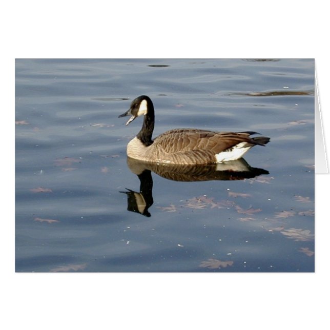 Tarjeta de ganso de hongos (Anverso (Horizontal))