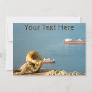 Tarjeta de gasa de Gibraltar personalizable