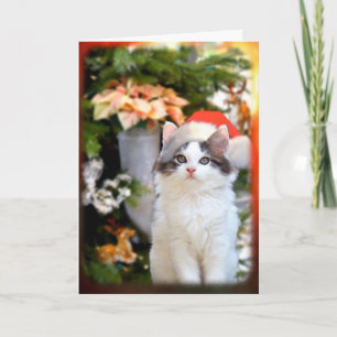 Tarjeta de Gatito Feliz Navidad