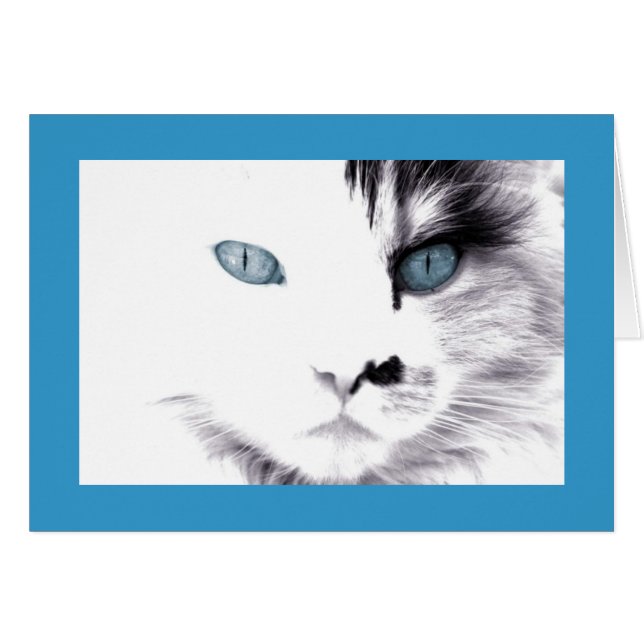 Tarjeta de gato (Anverso (Horizontal))
