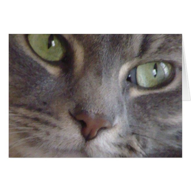 Tarjeta de gato (Anverso (Horizontal))