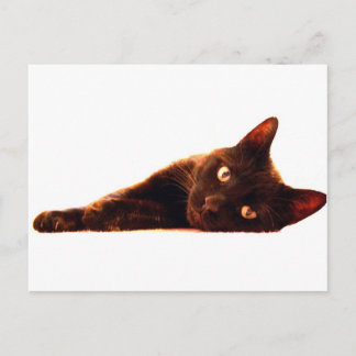 Tarjeta de gato