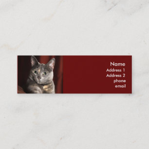 Tarjeta de gato