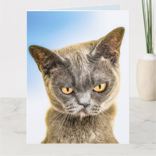 TARJETA DE GATO ADORABLE TRISTE EXTRAÑÁNDOTE