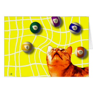 Tarjeta de gato Billiards