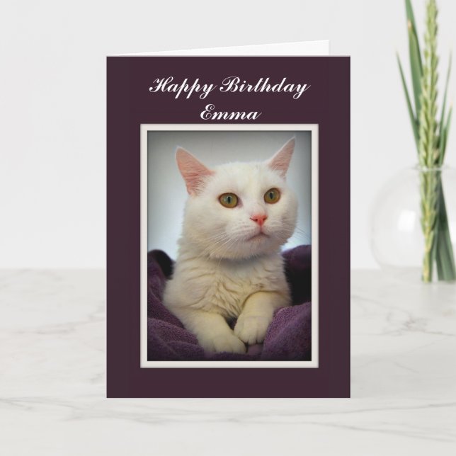 Tarjeta de gato blanco de cumpleaños Emma Happy (Anverso)